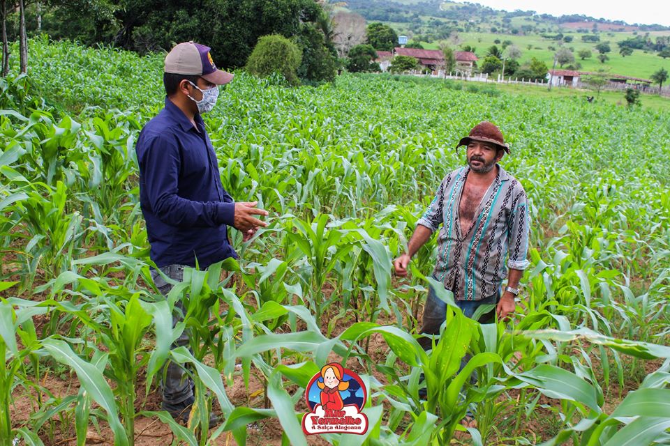 Read more about the article Secretário de Agricultura, Defesa Civil e Meio Ambiente visita agricultores familiares atendidos com o serviço de gradagem