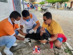 Read more about the article Secretaria Municipal de Saúde inicia vacinação antirrábica em animais de pequeno porte