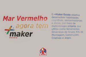 Read more about the article Equipe da Secretaria de Educação de Mar Vermelho recebe treinamento do Projeto + Maker Escola
