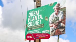 Read more about the article Gestão municipal intensifica o projeto “Quem planta, colhe”