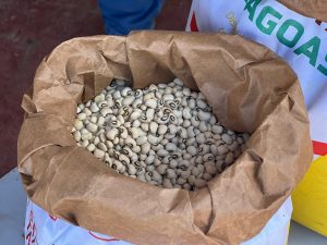 Read more about the article Programa Planta Alagoas beneficia agricultores familiares de Mar Vermelho com distribuição de sementes